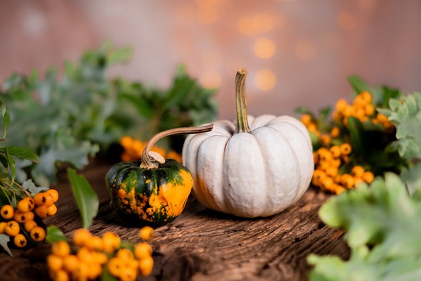 pumpkins-g16c0d86e0_1920