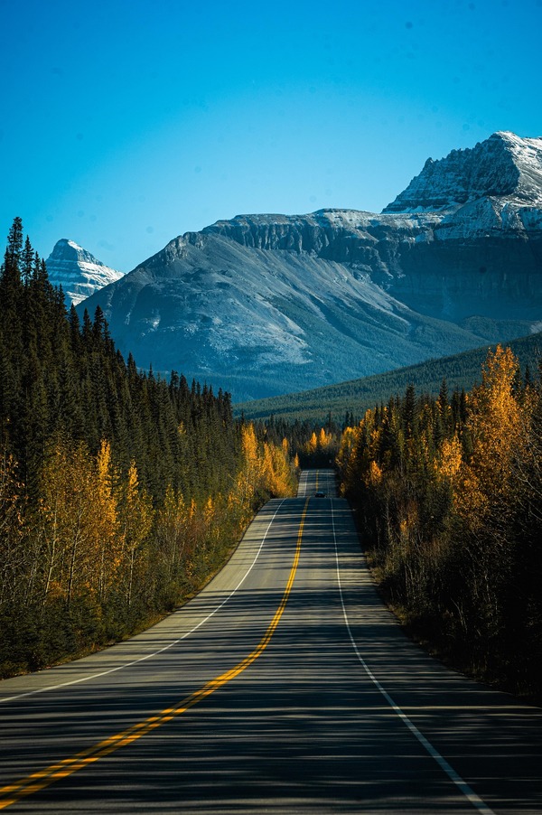 stills_by_suki-banff-8329971_1920