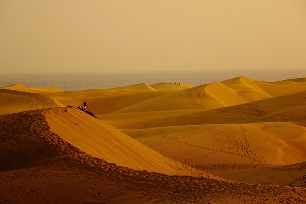 desert-6755127_1280