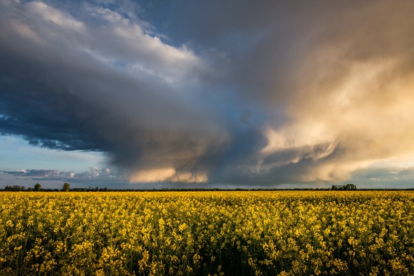 thunderstorm-4220199_1920