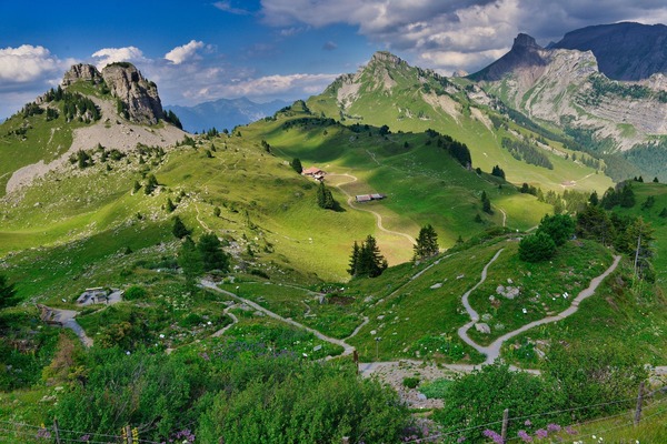 alps-7504344_1920