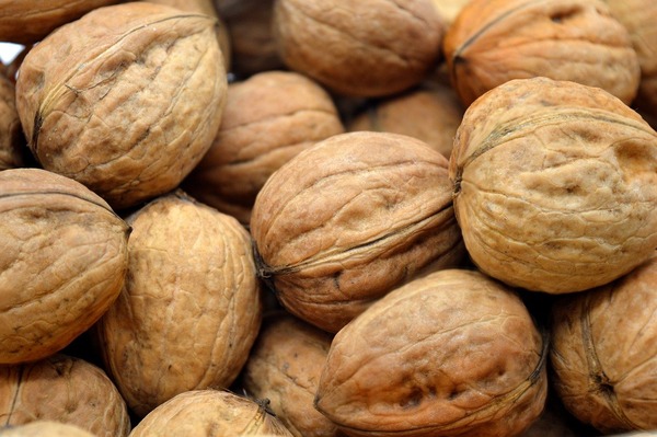 walnuts-8316999_1280
