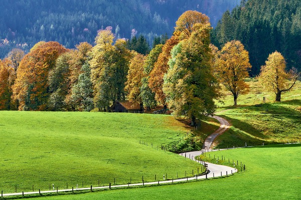 fall-7530983_1920
