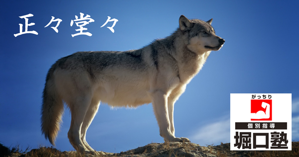 正々堂々2wolf-142173_1920