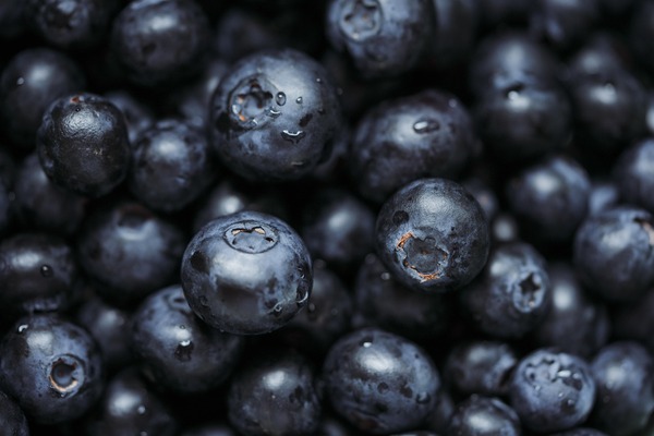 blueberries-7631751_1280