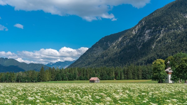 landscape-5430403_1920
