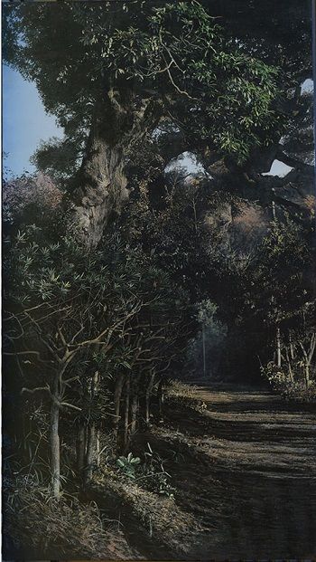 3つの個性-表現の可能性を探る- 五味文彦、大畑稔浩、島村信之 : 美術