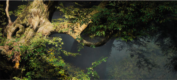 ３つの個性 表現の可能性を探る 五味文彦 大畑稔浩 島村信之 美術散策の休日