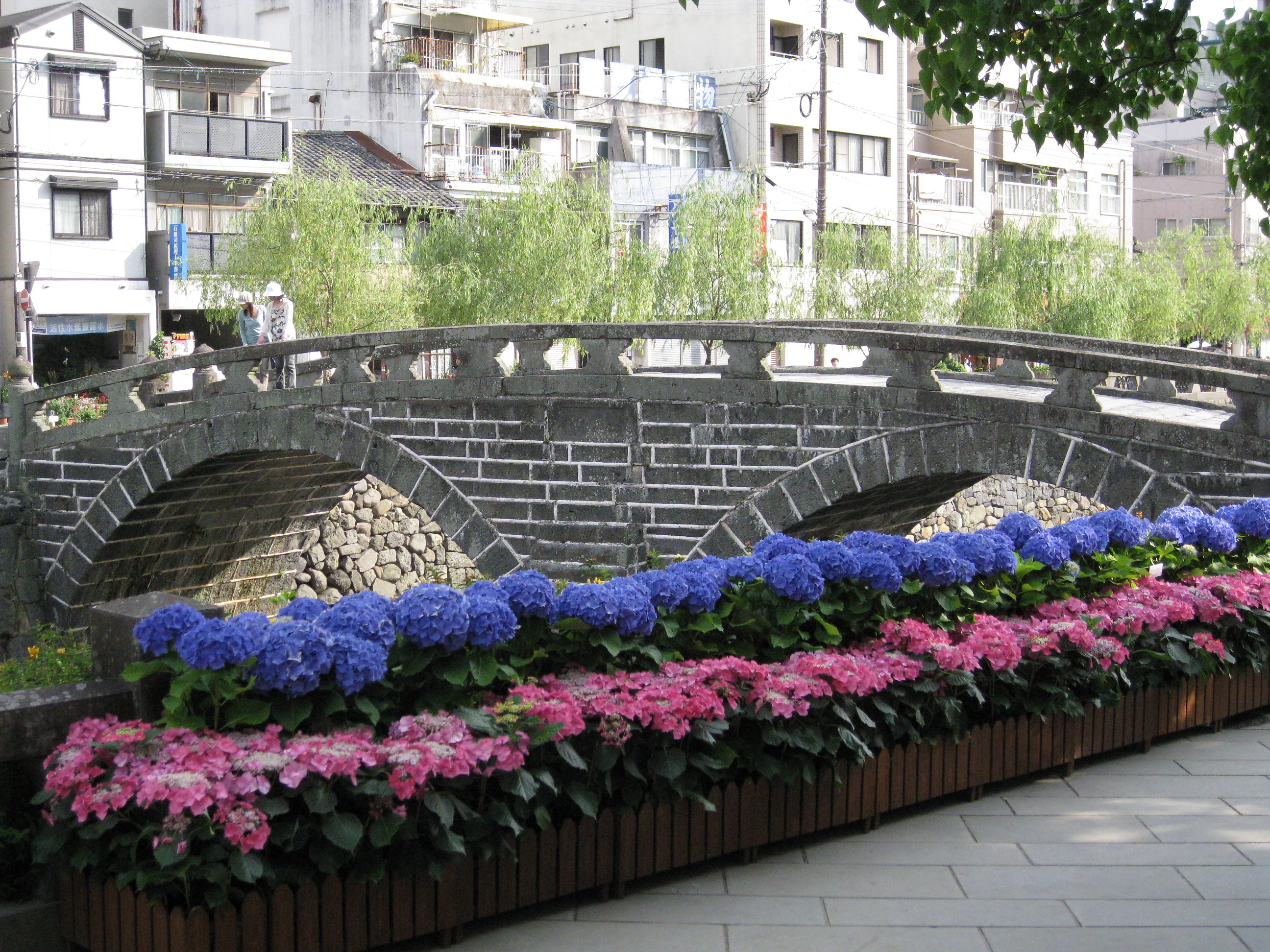 長崎 あじさいまつり スピッツ あじさい通り Horlicksの勝手にレビュー