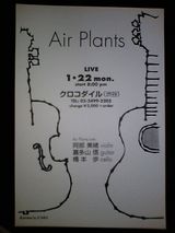 air plants.