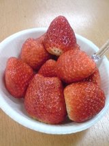 ichigo