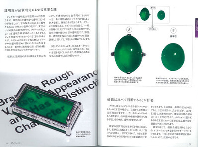 �ʼ���ʬ���른�奨�꡼�θ������鸫�����ڤ�