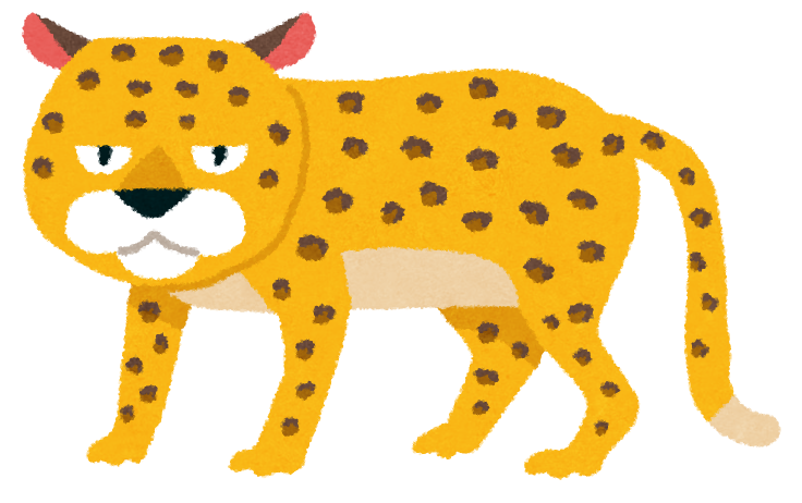 動物占いで チーター の人は 天恍星 です 宿命鑑定ホシヨミ