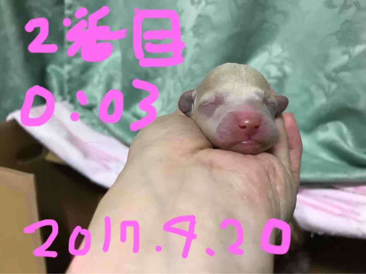 48BE5166-718B-4622-AE9C-037C0A1AC15B
