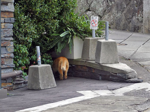 2026-01-04 08-59-24 (2)