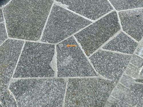 2025-04-27 09-07-45