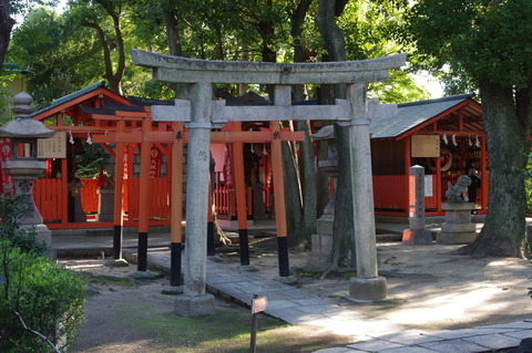 IMGP3945