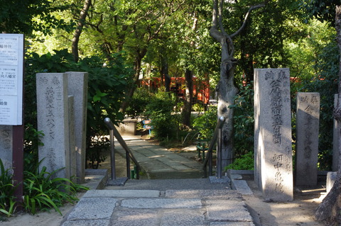 IMGP3942