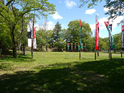 nagasinojou