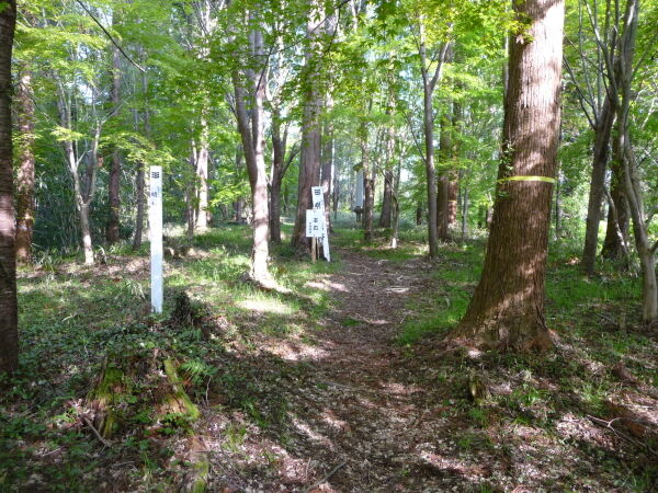 明智光秀ゆかりの地 岐阜県 年表でみる戦国時代