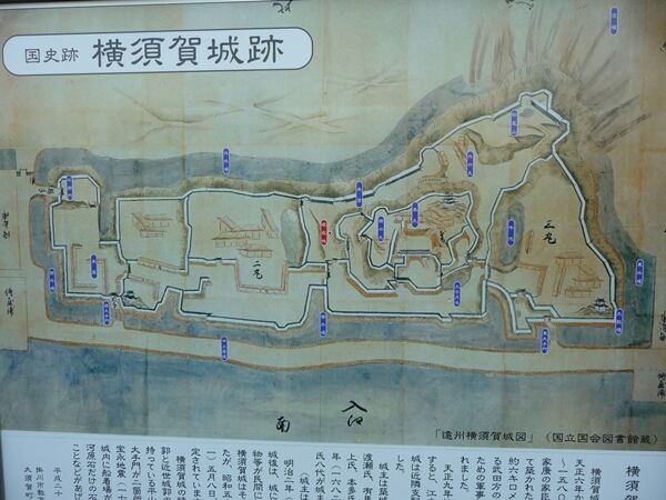 年表でみる戦国時代横須賀城(遠江)(高天神城の武田家に対して家康が築いた)コメント 星野遊呆