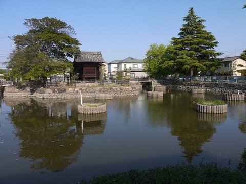 niwasejou1