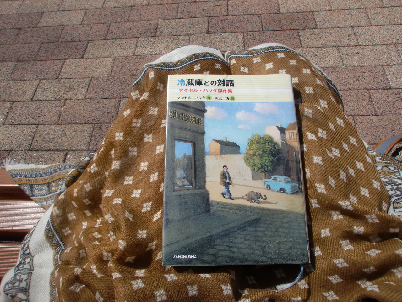 不器用なゾウ、動物園のプールで溺れそうになる