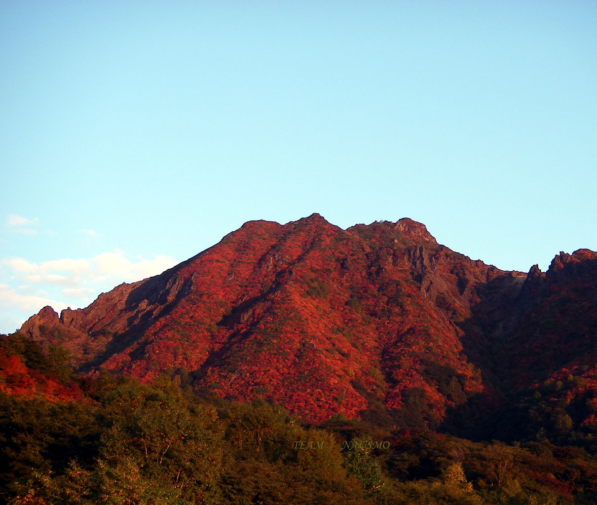 0600��NASUMO �Υ��ԡ�