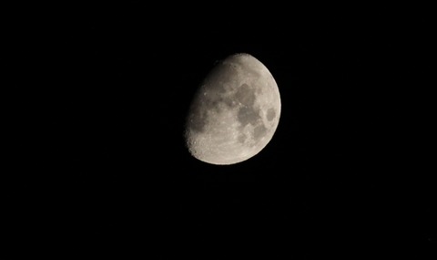 IMG_3080