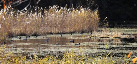 IMG_3206