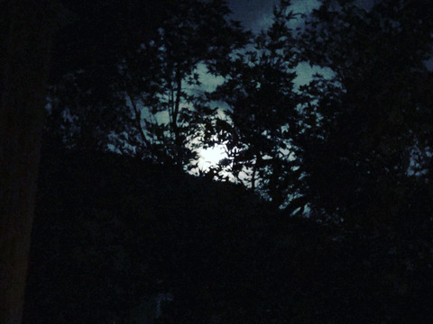 45BB1BF9-2B0B-4CA4-A817-2466A62757B2