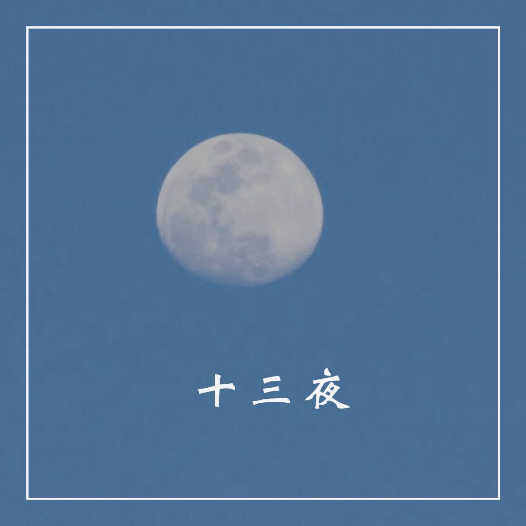 十三夜 : 物語のいでき始めのおや 〜月夜野タヌキのPON自治共和国〜