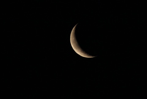 IMG_0395