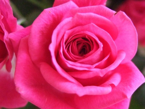 DSCF7929 (2)