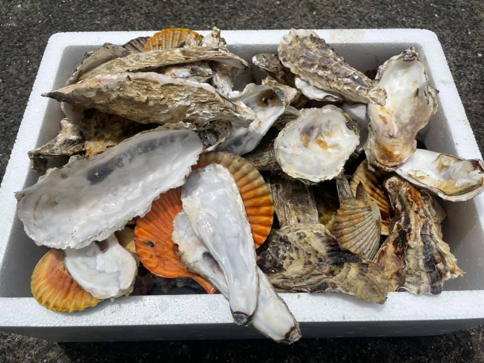 細川家の屋久島ライフ 貝殻肥料 細川家の屋久島ライフ 貝殻肥料