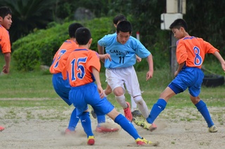 51509b91.jpg