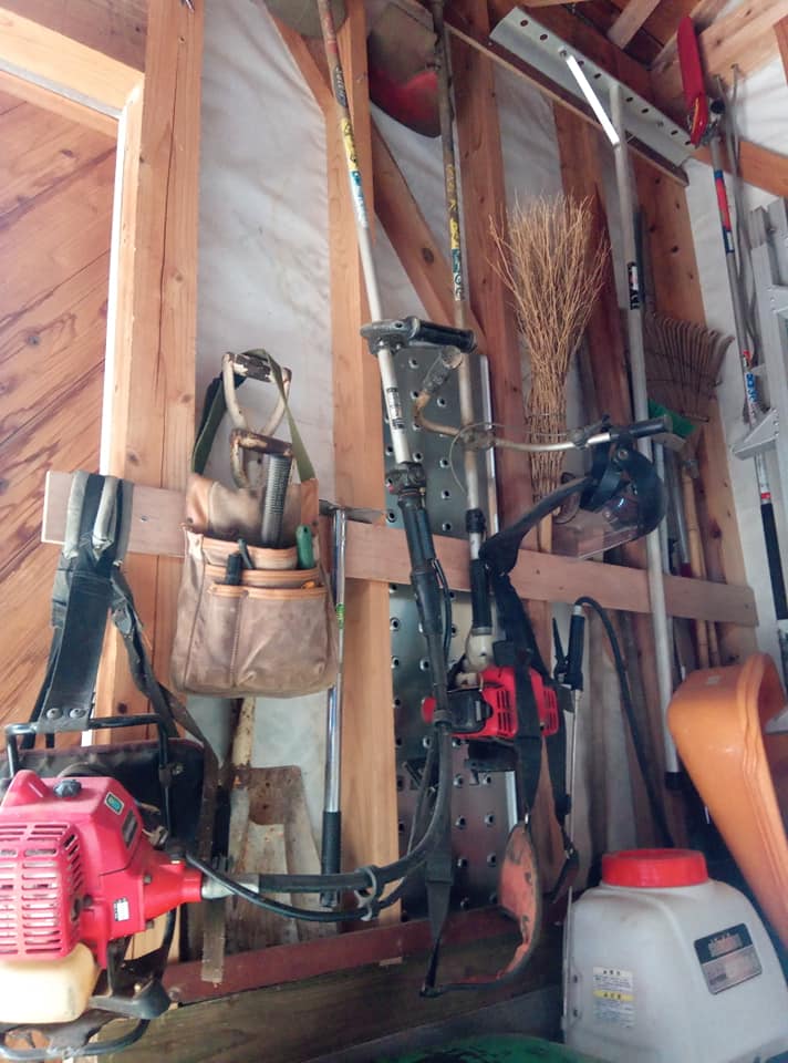 細川家の屋久島ライフ 年03月