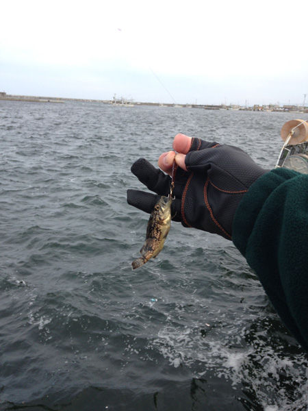 26 9 3 ソイ釣り 三沢漁港 百石漁港 青森県 風まかせ By ホソヤン