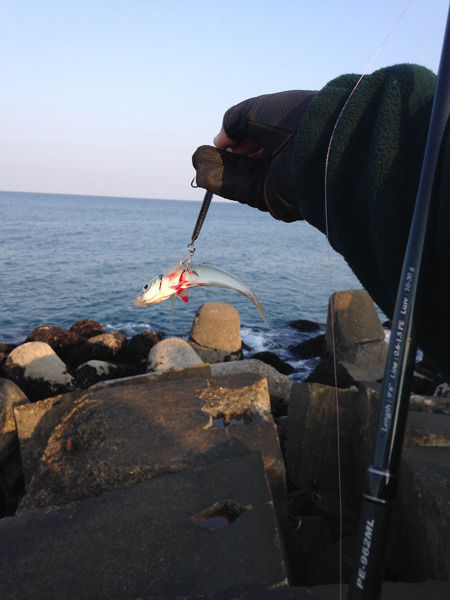 26 10 31 サバ釣り 三沢サーフ 青森県三沢市 風まかせ By ホソヤン