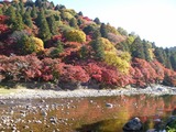 kourankei