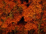 kourankei