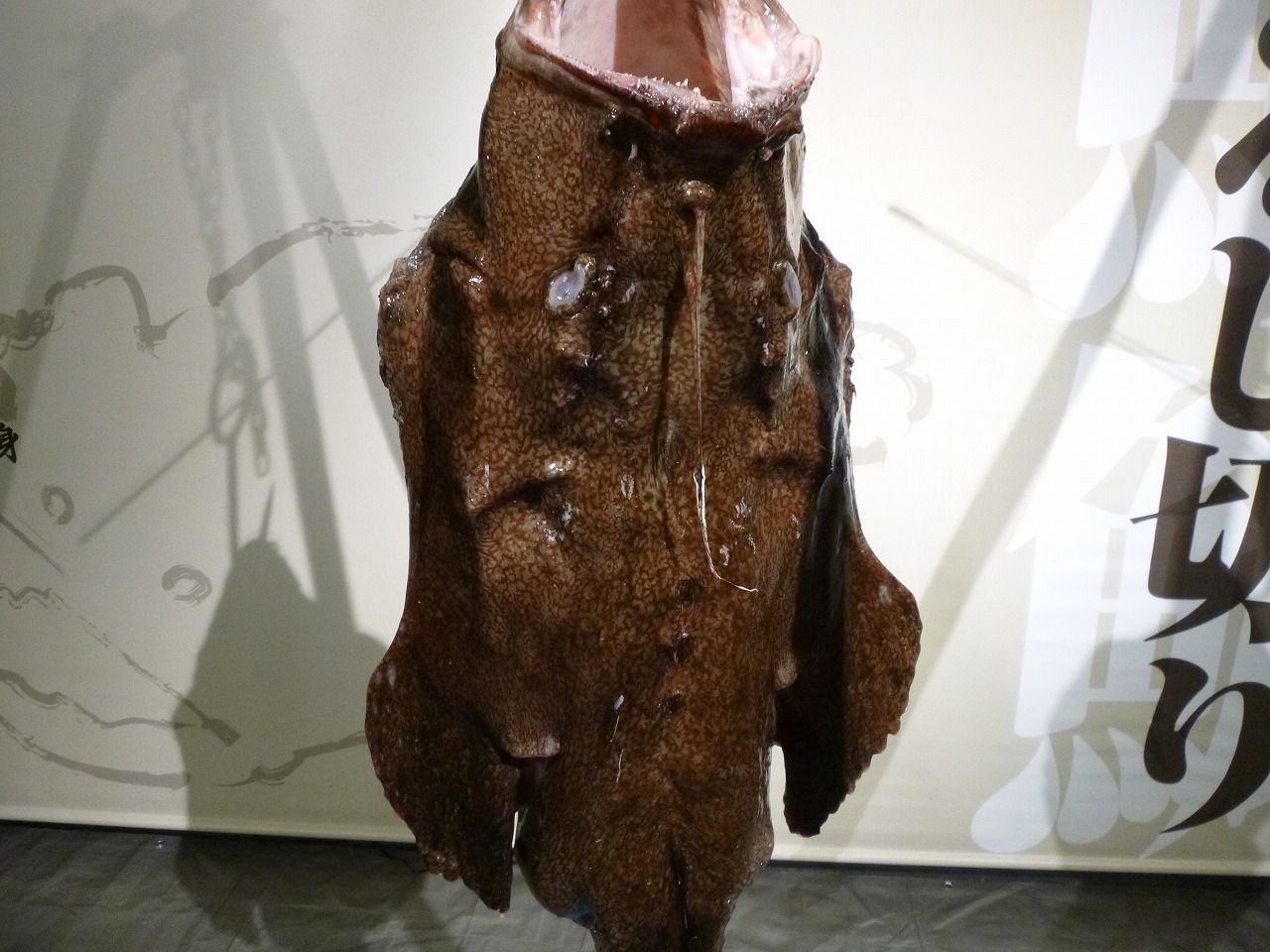 ドライブ観光コース 今が旬 あんこう