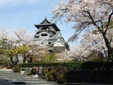 国宝犬山城