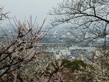 枚岡梅林からの眺望