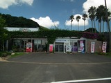 池田湖パラダイス