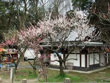 枚岡梅林のトイレ