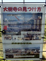 大樹寺の見つけ方