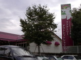 525b8391.JPG