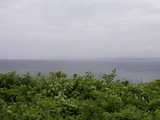 椫į