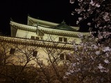 和歌山城天守閣と桜の花